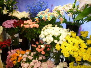 本日入荷の花